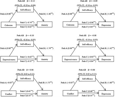 Impact of the Family Environment on the Emotional State of Medical Staff During the COVID-19 Outbreak: The Mediating Effect of Self-Efficacy